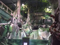 -福州罗源湾海洋世界旅游区