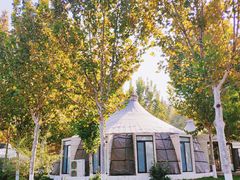 -九十九顶毡房(阜石路店)