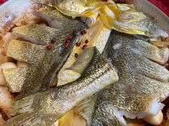 -1937青岛老味道·海肠捞饭·青岛菜(大鲍岛栈桥店)