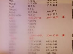 -纳吉亚猫专科动物诊疗中心(蒋宅口分院)