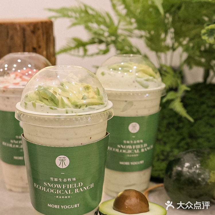 在泉州能让我连续喝一周的也只有茉酸奶了🔥