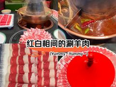 -南门四季铜锅涮肉(大屯·北苑店)