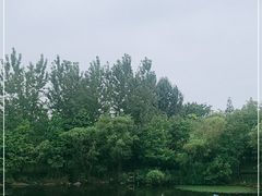 -梅林春晓花园餐厅