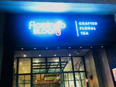 -Flamingo Bloom(TST /尖沙咀店)