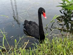 -昆山城市生态森林公园