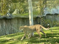 -北京野生动物园