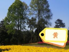 -保利石象湖景区