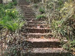 -上海佘山国家森林公园天马山园