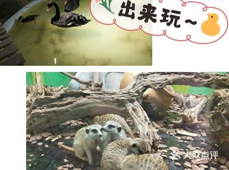 带娃和动物亲密接触叭～