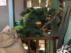 -绿茶餐厅(南昌王府井店)