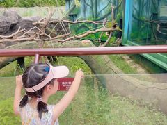 -杭州野生动物世界