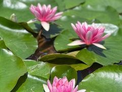 -昆明市金殿名胜区