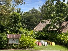 -大象粑粑造纸公园