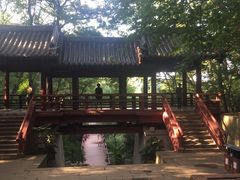 -紫霞湖公园