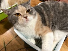 -藦茜花园宠物主题亲子互动体验馆(国顺东路店)