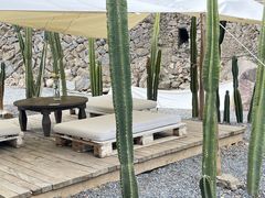 -MOJ coffee(瓯海泽雅水碓坑店)