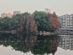 -荔湾湖公园