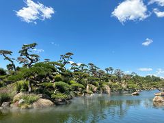 -罗红摄影艺术馆