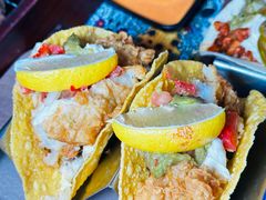 -Famous肥猫墨西哥音乐餐吧(五棵松华熙LIVE店)