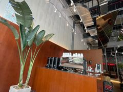 -LOOOAD COFFEE进度条(D9街区店)