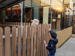 -廊坊固安福朋喜来登酒店