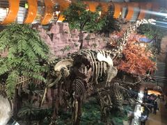 -河南自然博物馆