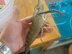 -品鲜村农家菜·阳澄湖大闸蟹(总店)