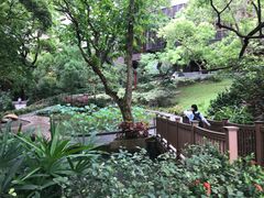 -香港大学