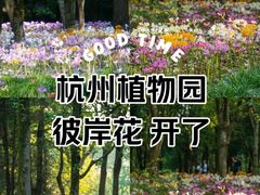 -杭州植物园
