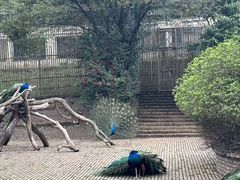 -宁波野生动物园