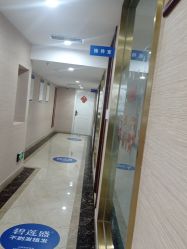 -碧莲盛·不剃发植发