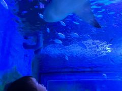 -常州海昌海洋探索馆