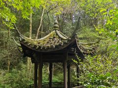 -虎跑公园
