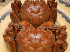 -王宝和酒家(黄浦店)