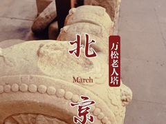 -万松老人塔
