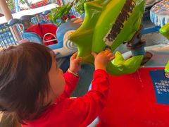 -芜湖新华联大白鲸海洋公园