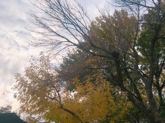 -后海公园