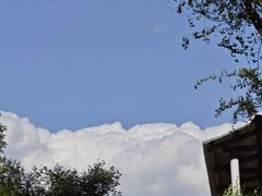 -北京张裕爱斐堡酒庄
