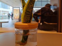 -霸王茶姬(南亚风情第壹城店)