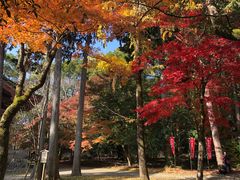 -醍醐寺