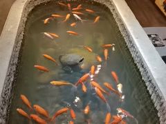 -黄家码头老火锅(解放碑旗舰店)