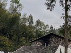 -MOJ coffee(瓯海泽雅水碓坑店)