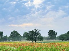 -汉长安城未央宫国家考古遗址公园