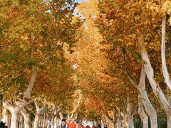 -汉长安城未央宫国家考古遗址公园