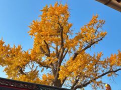 -狼山风景名胜区