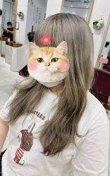 -H·Y HAIR SALON烫发·染发·造型