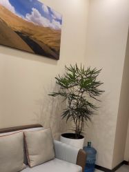 -北京米扬丽格医疗美容·联合丽格鼻整形中心