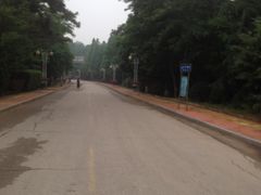沿海公路-日照海滨国家森林公园