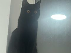 -勃利地摊·勃立小串烧烤