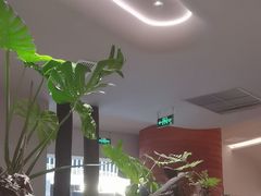 -雲說·花(西宸天街店)